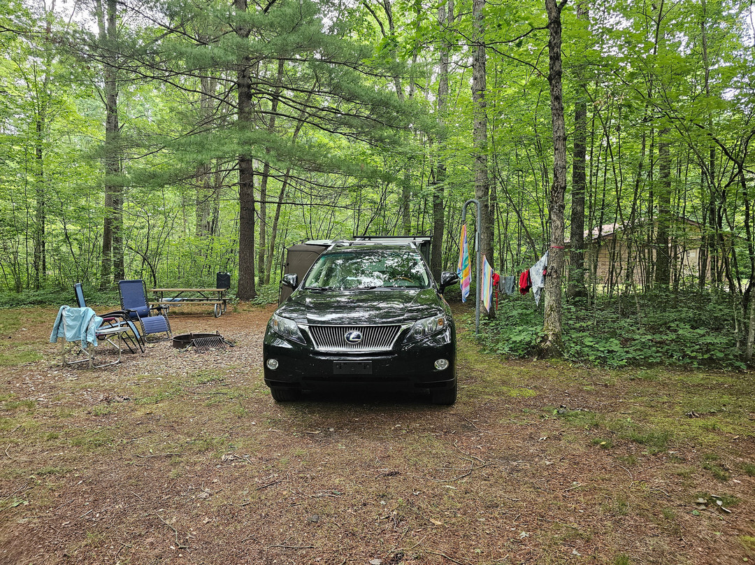 Pine River Paddlesports Center-Wellston必去景点