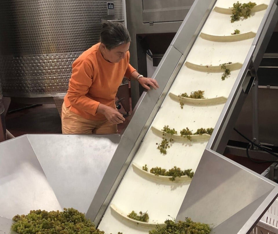 Revalation Vineyards-Madison必去景点