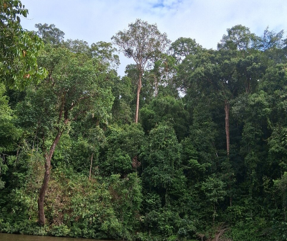 TEBiNG Guesthouse Taman Negara Malaysia Kuala Tahan主图