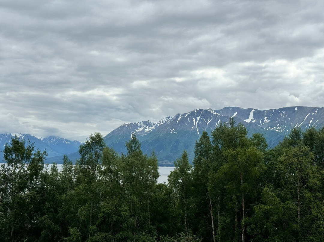 Turnagain View Lodge & Wedding Venue主图