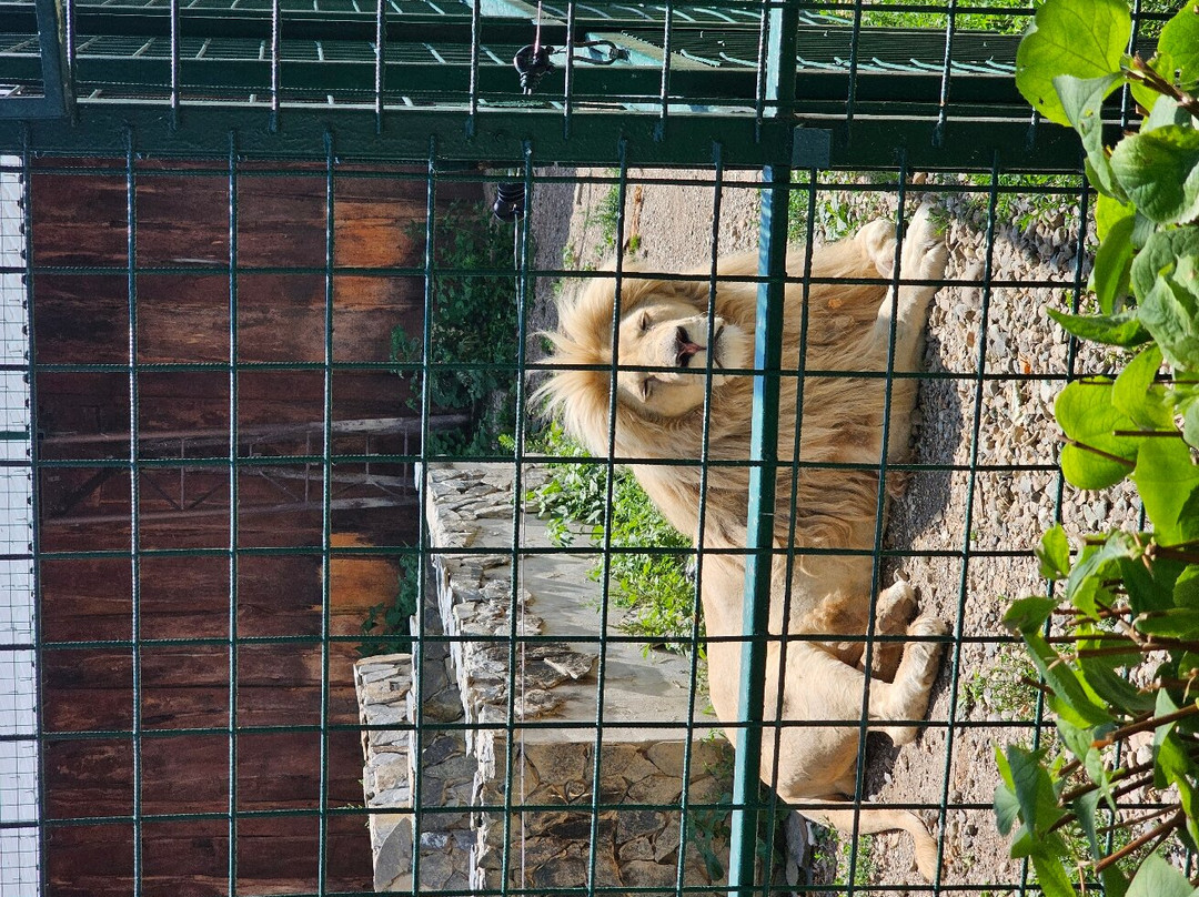 Panthera park-Jur nad Hronom必去景点