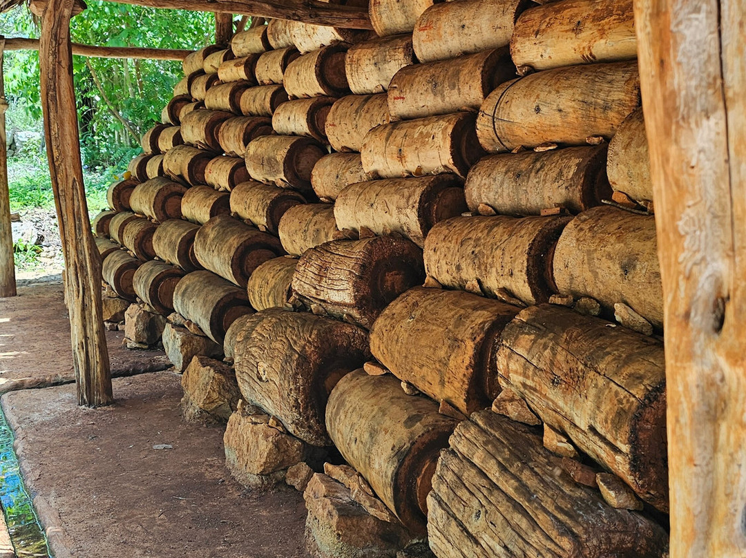 Meliponario "u Naajil Yuum K'iin"-Mani必去景点