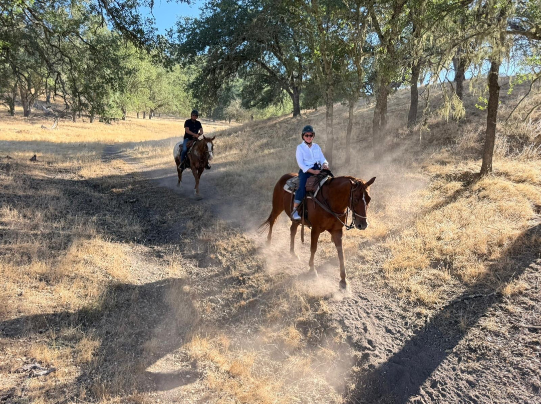 Central Coast Trailrides-帕索罗布尔斯必去景点