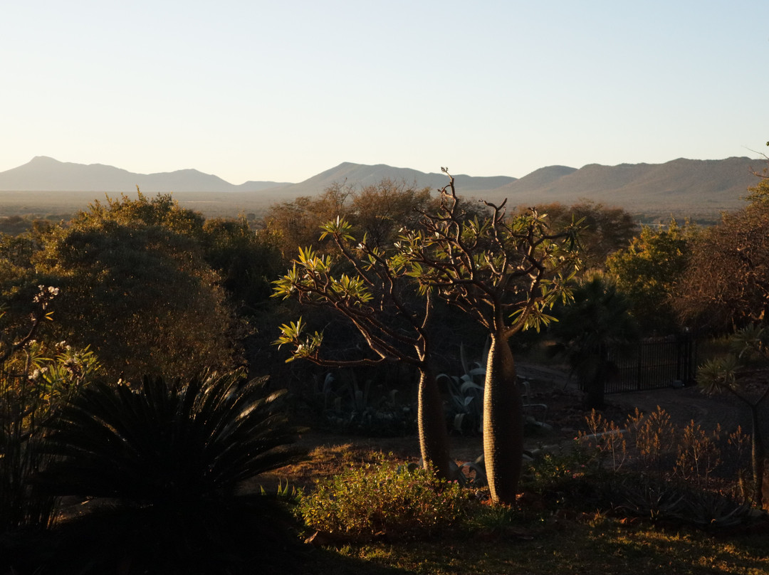 Marula Cottage Guest Lodge主图