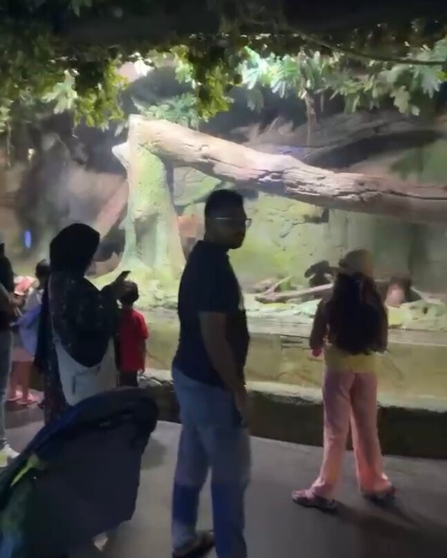 The National Aquarium Abu Dhabi-阿布扎比必去景点