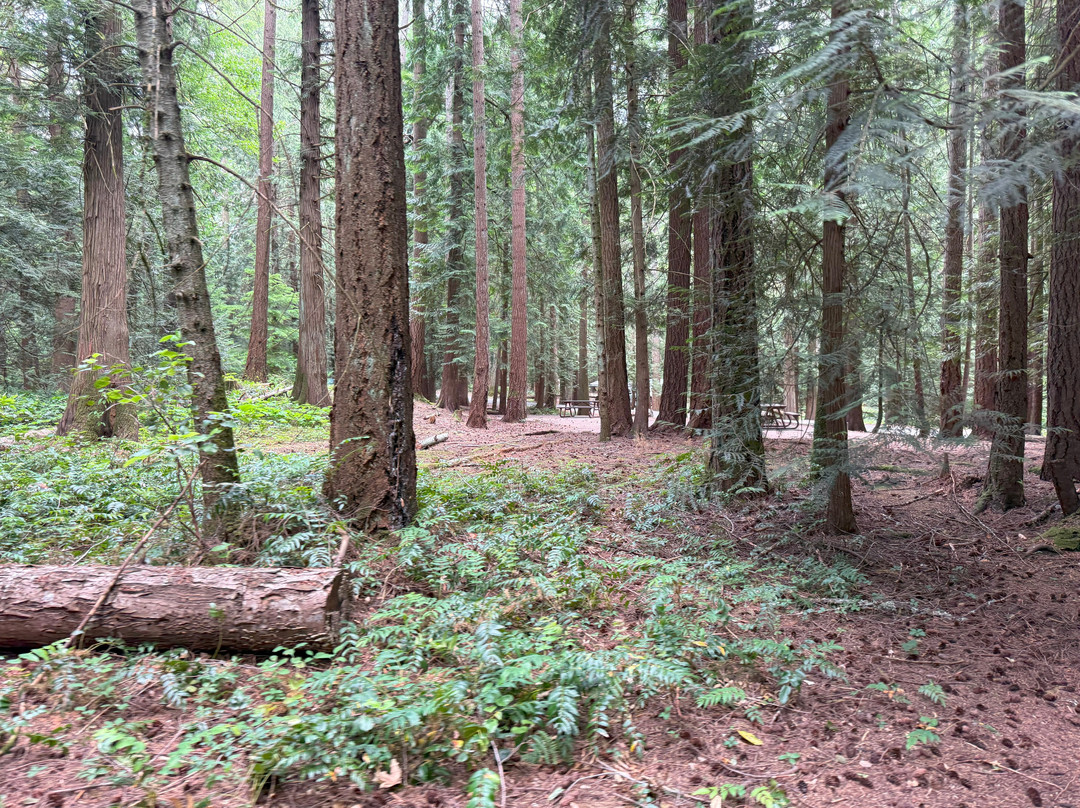 Bamberton Provincial Park-Mill Bay必去景点