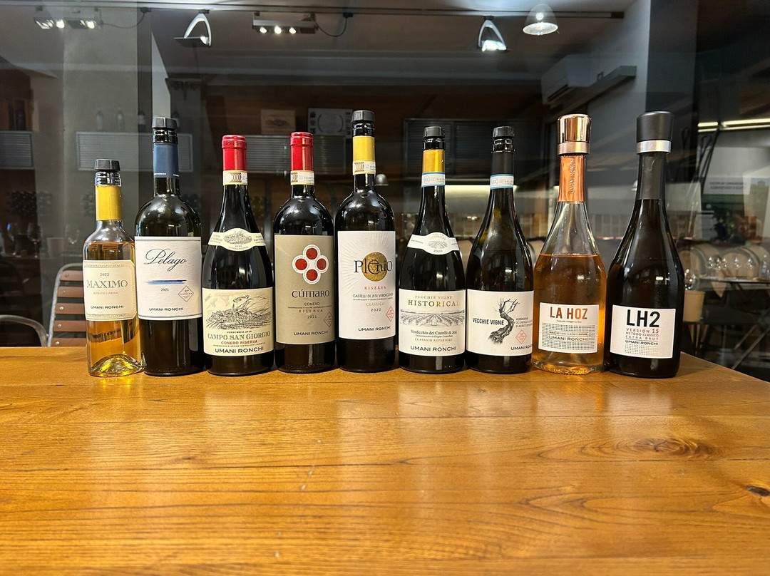 Umani Ronchi Winery-奥西莫必去景点