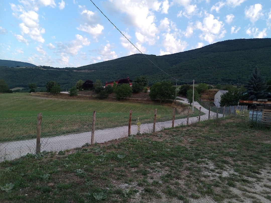 Agriturismo la Fattoria主图