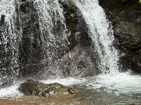 Costa Rica Sport Fishing Adventures-彭塔雷纳斯必去景点