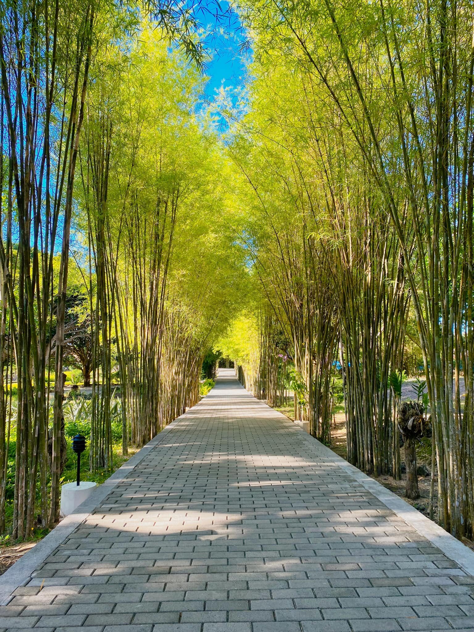 邦劳岛水蓝海滩度假村-浴室