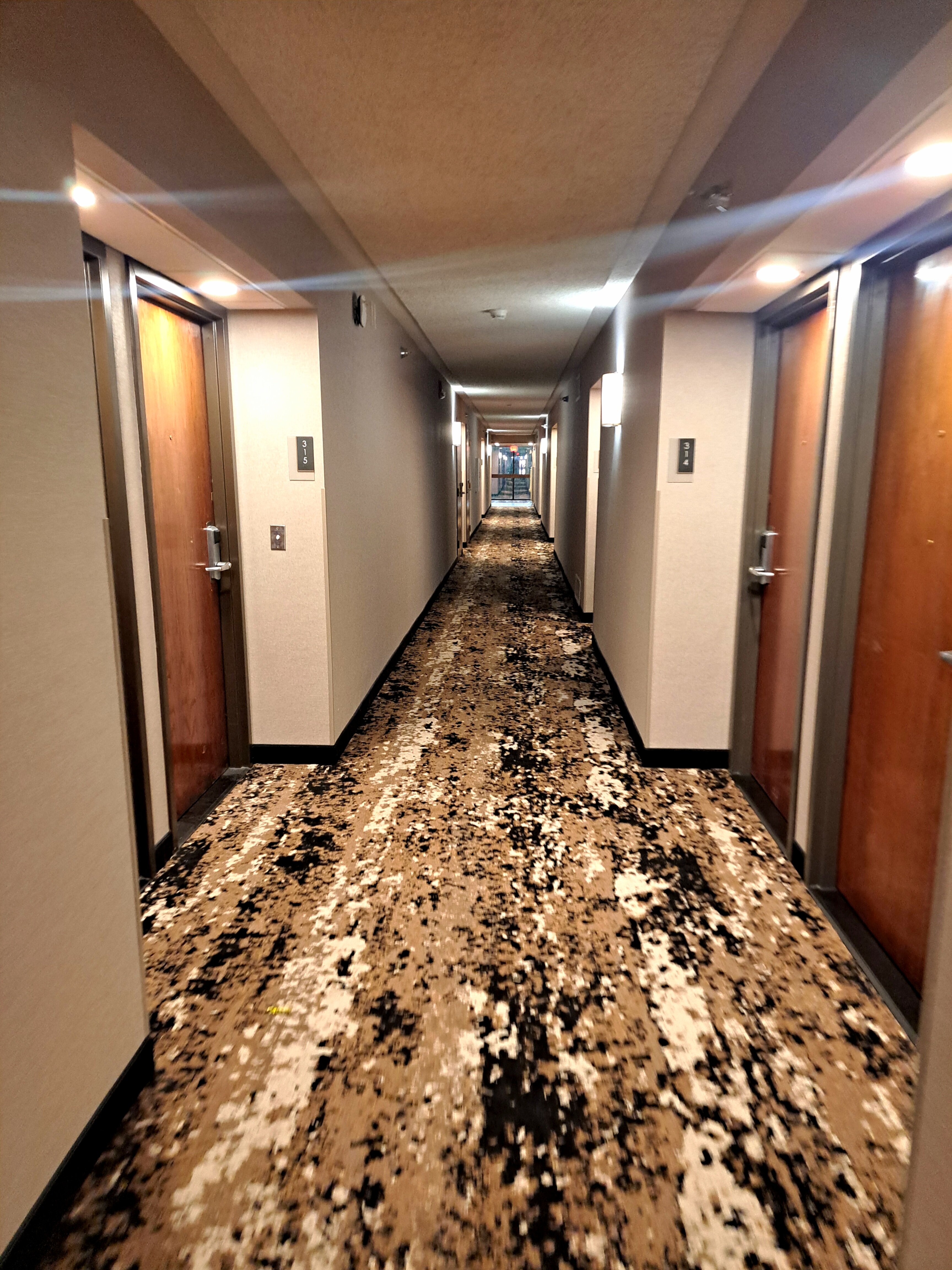 Drury Inn & Suites Springfield, MO-浴室