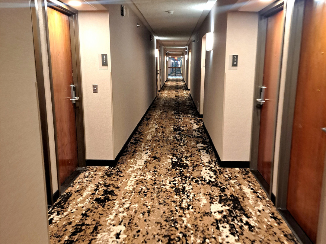 Drury Inn & Suites Springfield, MO主图