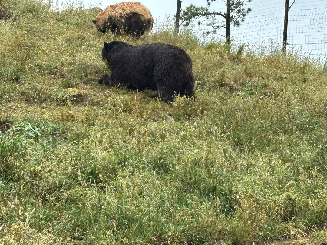 High Country Guest Ranch主图