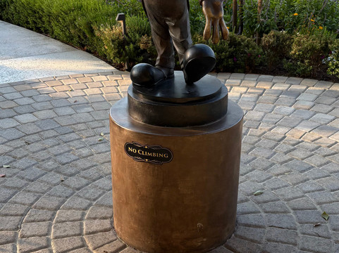 Home2 Suites by Hilton Anaheim Resort主图