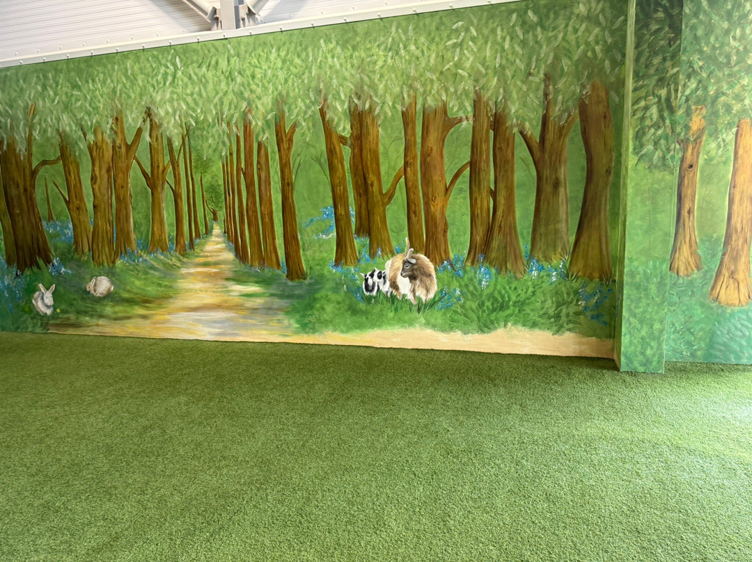 Active Kids Adventure Park-Stanley必去景点