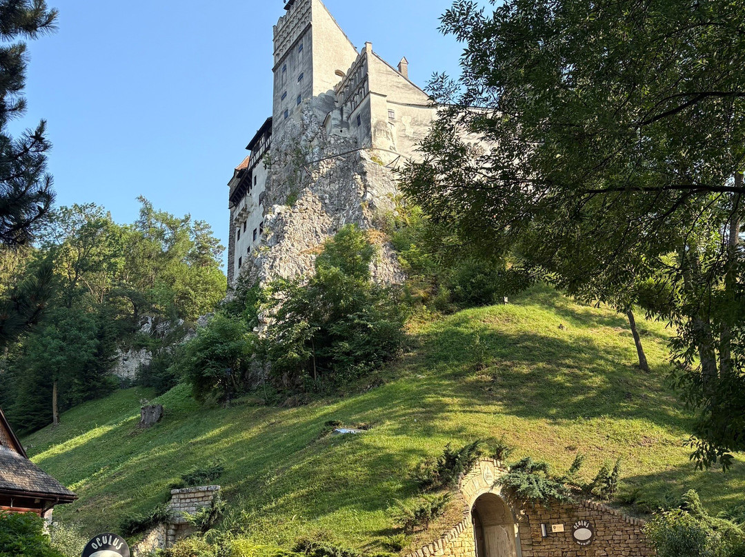Museum Medieval Bran-布兰必去景点