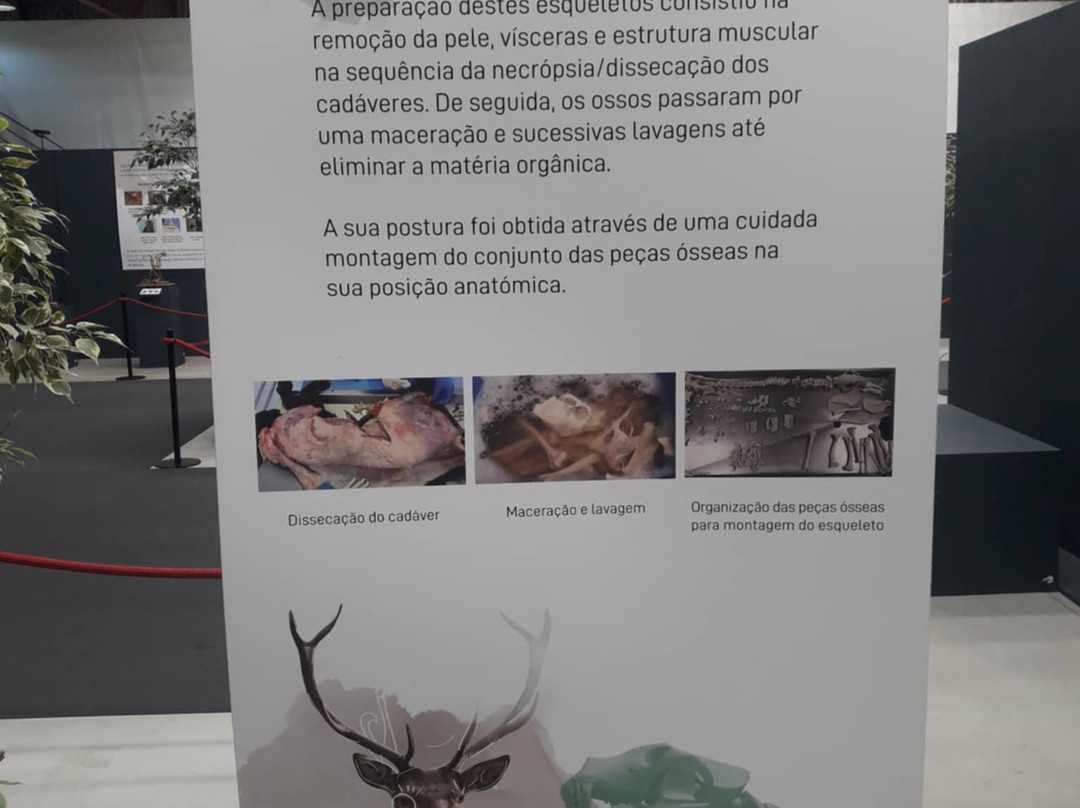 Zoo da Maia-Maia必去景点