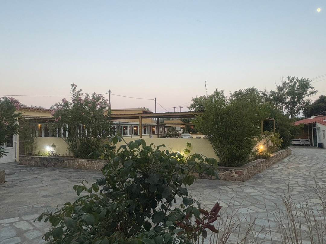 Roulla Studios主图