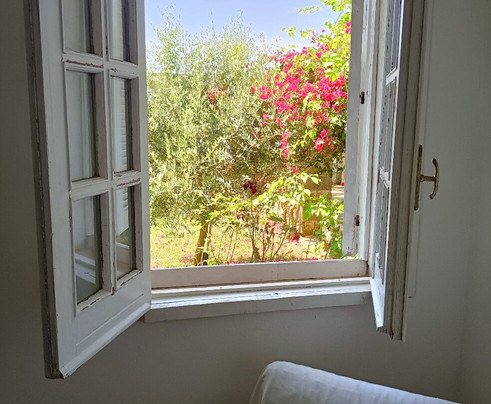 Tenuta Sant'Antonio主图