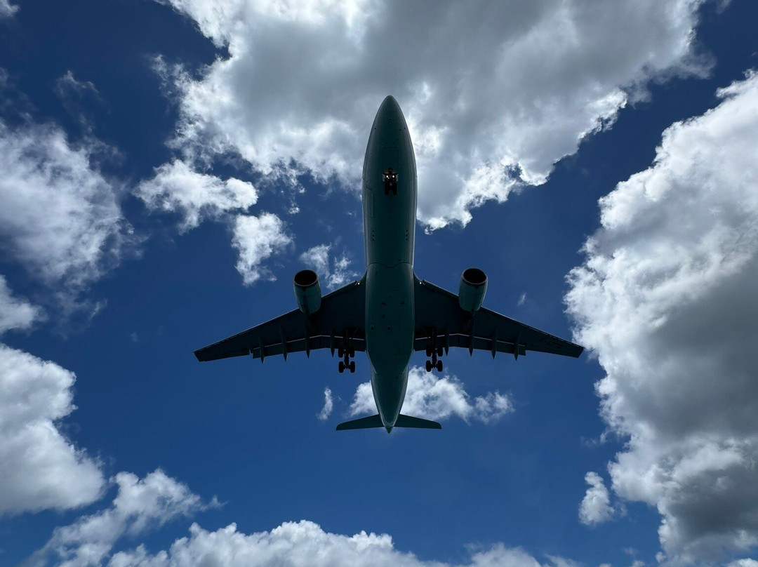 Billy Bones Boatcharters-辛普森湾必去景点