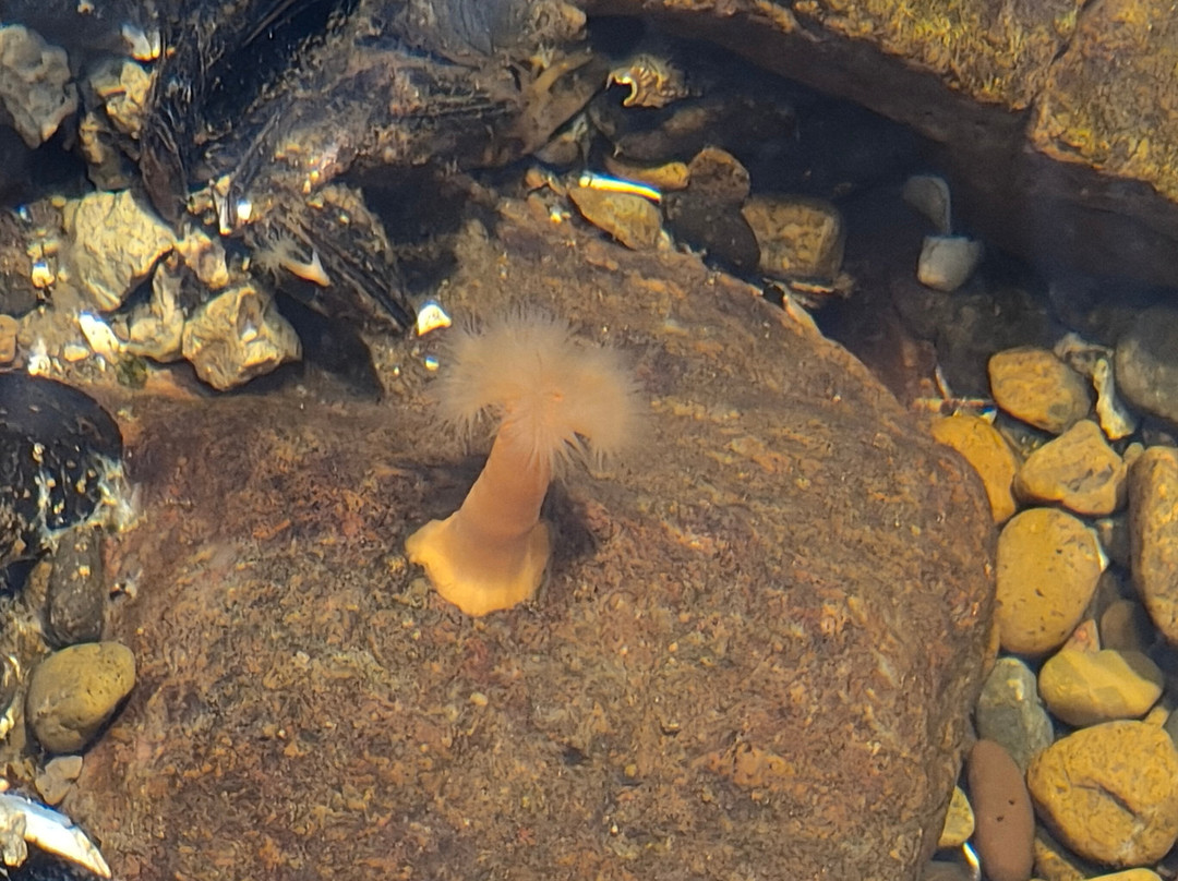 Fundación Ecocentro-马德林港必去景点