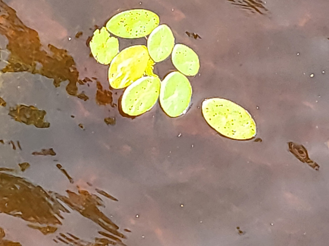 Big Bay Town Park-La Pointe必去景点