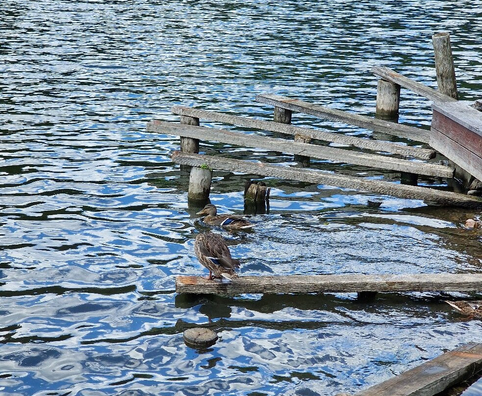 Red Lake-Lacu Rosu必去景点