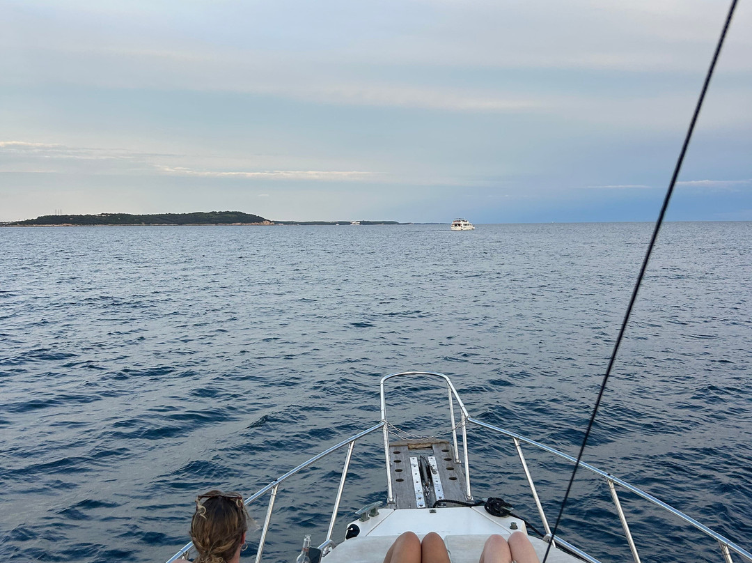 Burin Dolphin excursion Pula-普拉必去景点