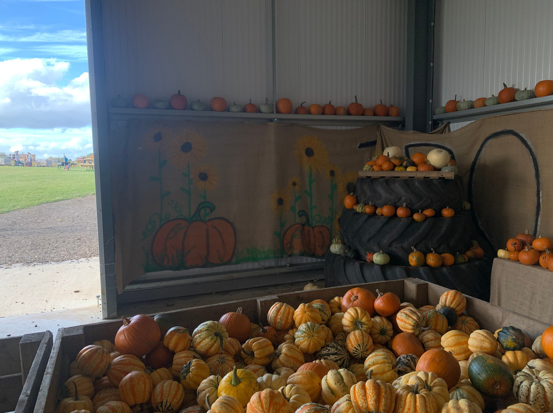 The Pop Up Farm-Redbourn必去景点