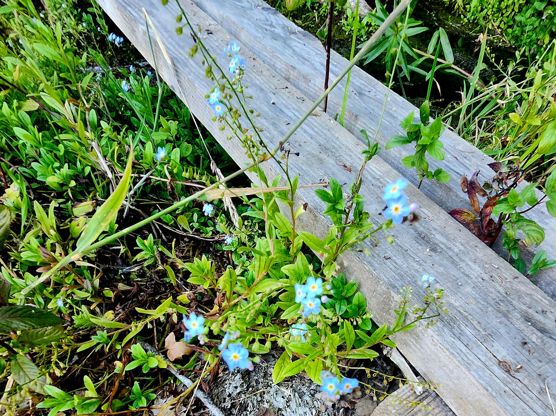 A Hidden Haven Bed and Breakfast主图