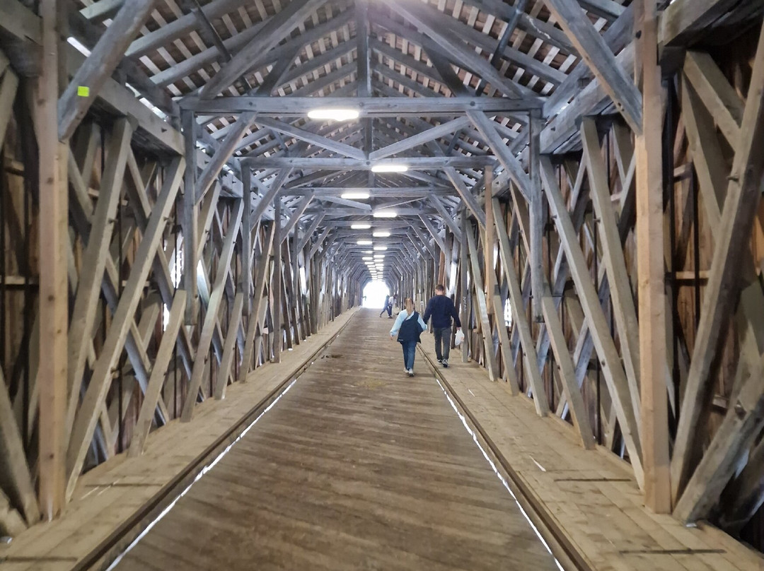 Alte Rheinbrücke Vaduz-Sevelen-瓦杜兹必去景点