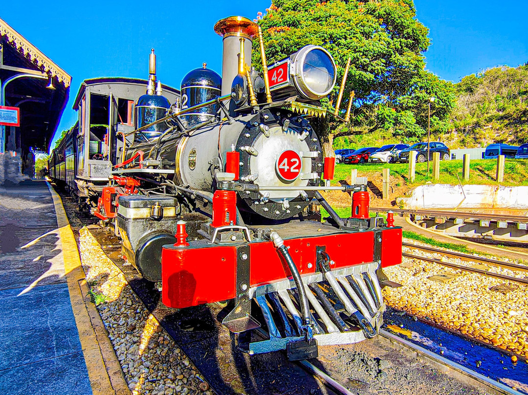 Smoking Mary Minas' Vintage Steam Trains-蒂拉登特斯必去景点