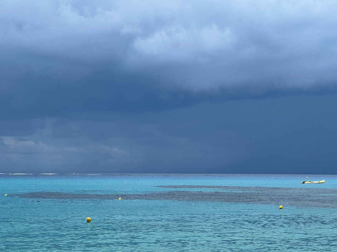 Grotticelle Beach-Capo Vaticano必去景点