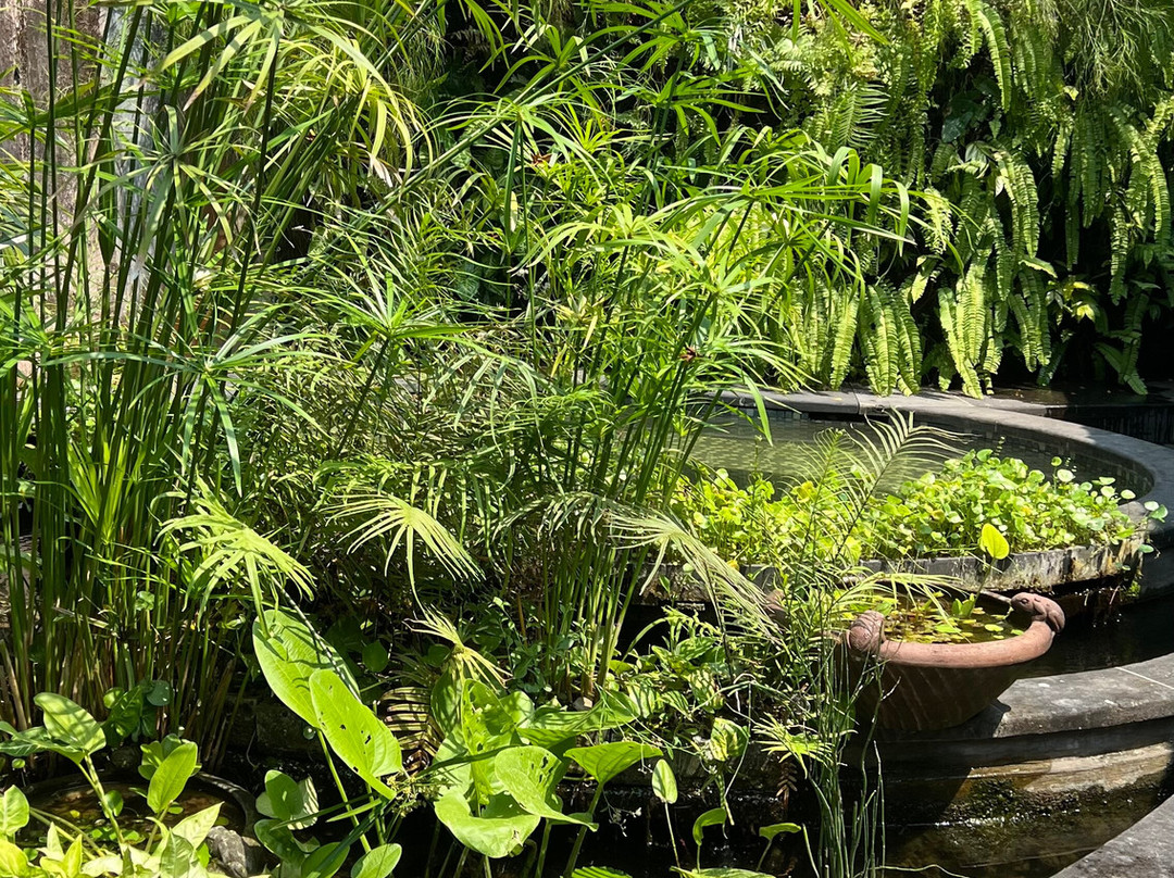 Yabbiekayu Eco-Bungalows主图