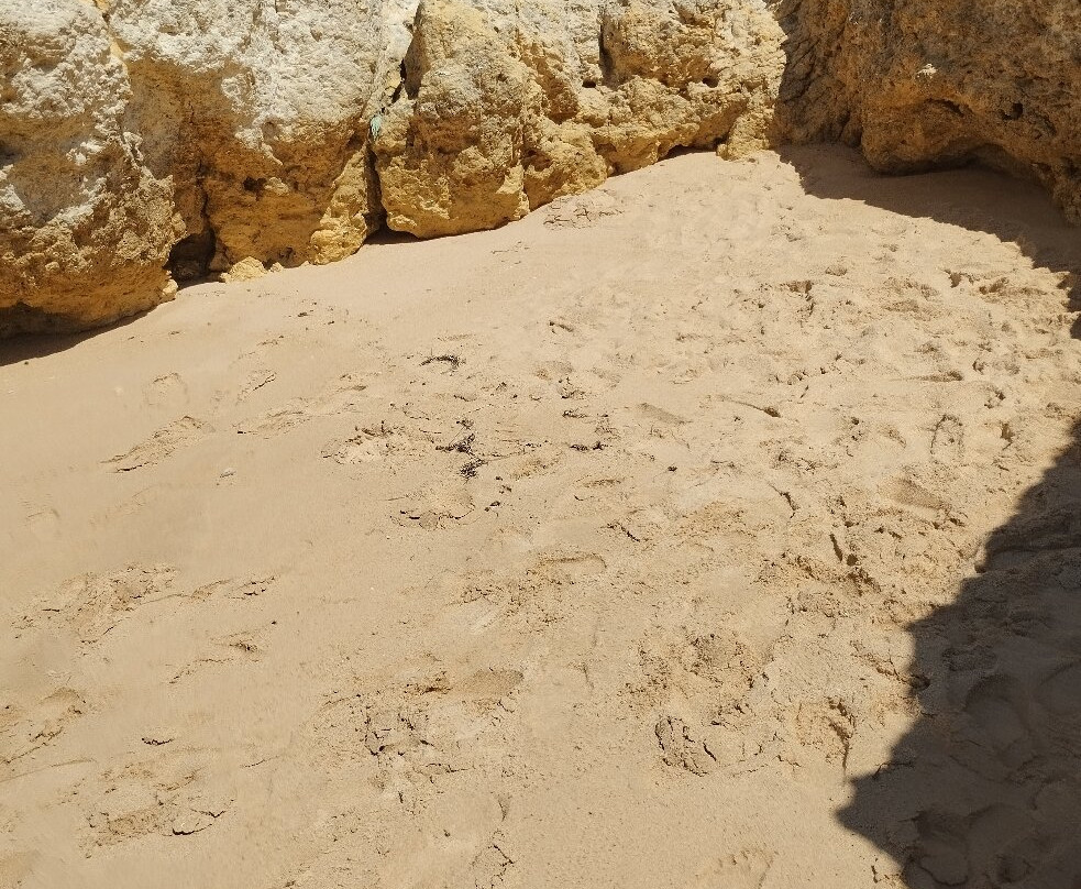 Praia de Santa Eulalia-阿尔布赞拉必去景点