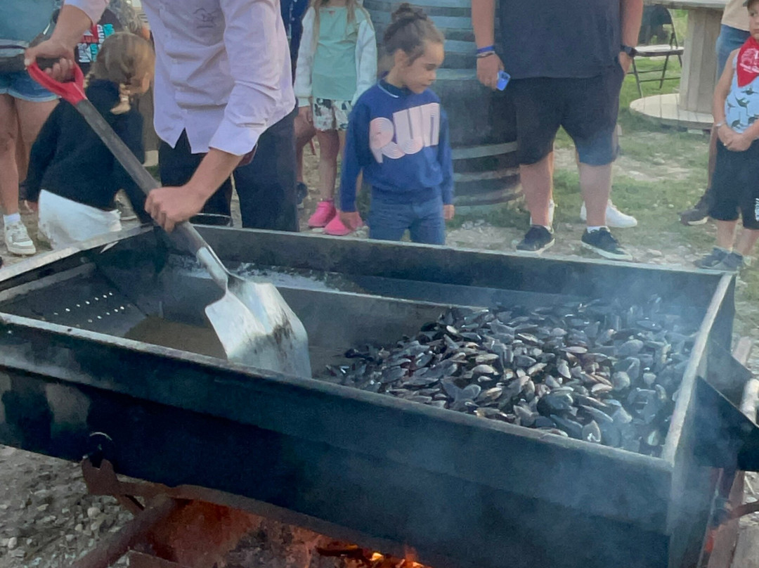 Manade Vitou de Fontmarie-Castries必去景点