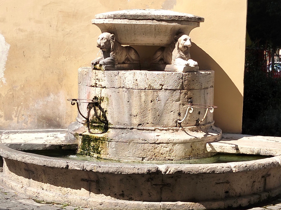 Fontana dei Cani-阿斯科利皮切诺必去景点