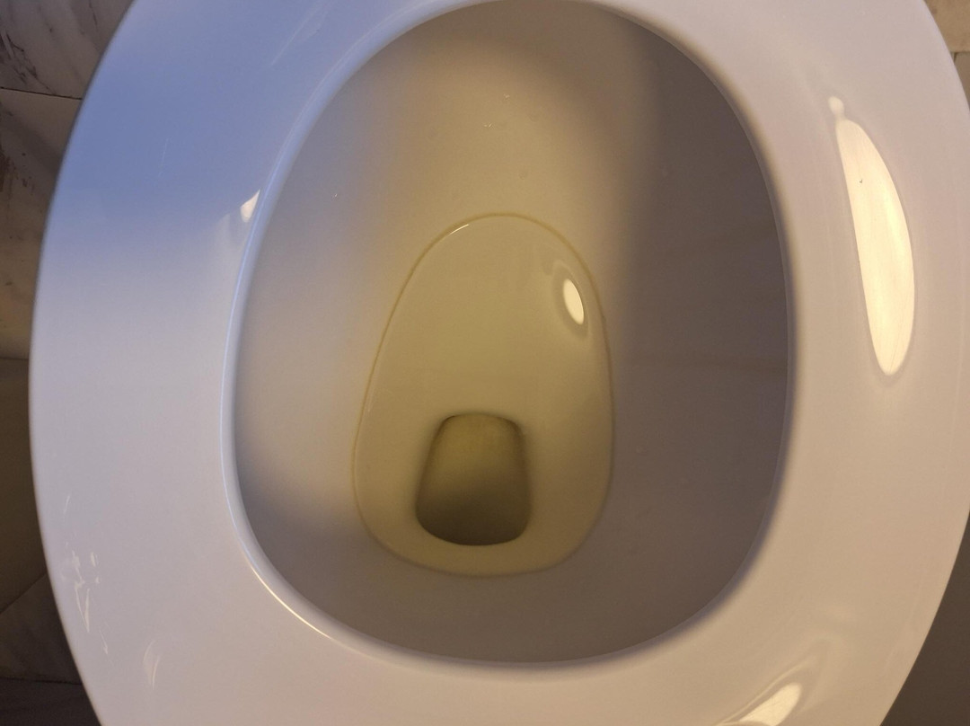 Lakeview Lodge Motel主图