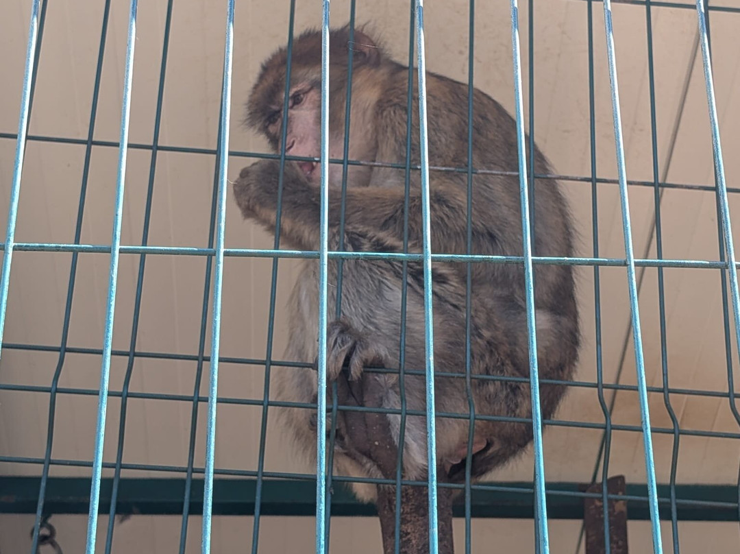 Ranch Aryen-Sutorina必去景点