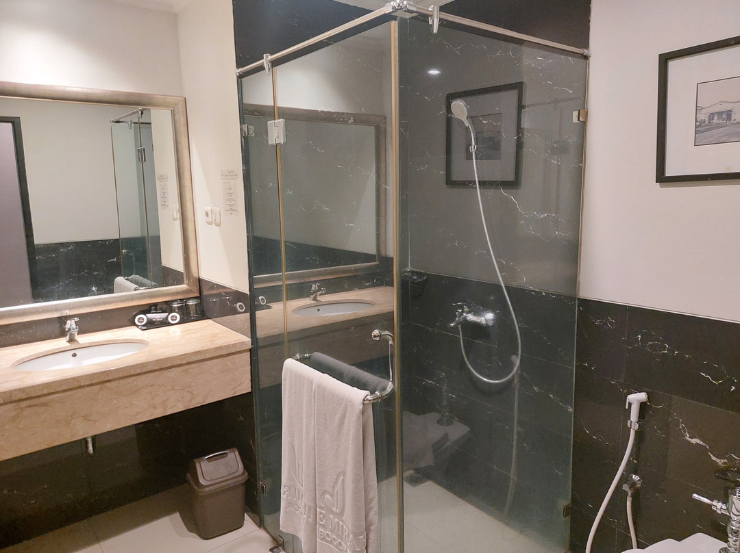 米拉大酒店主图