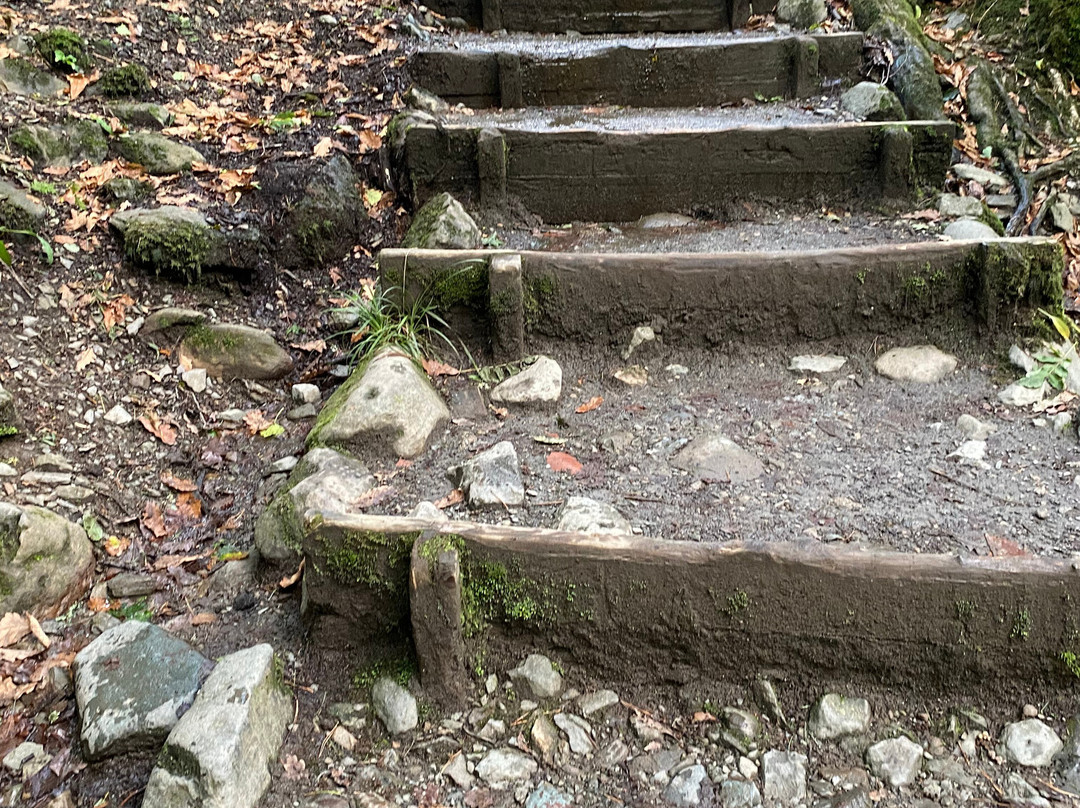 Stock Ghyll Force-安布赛德必去景点