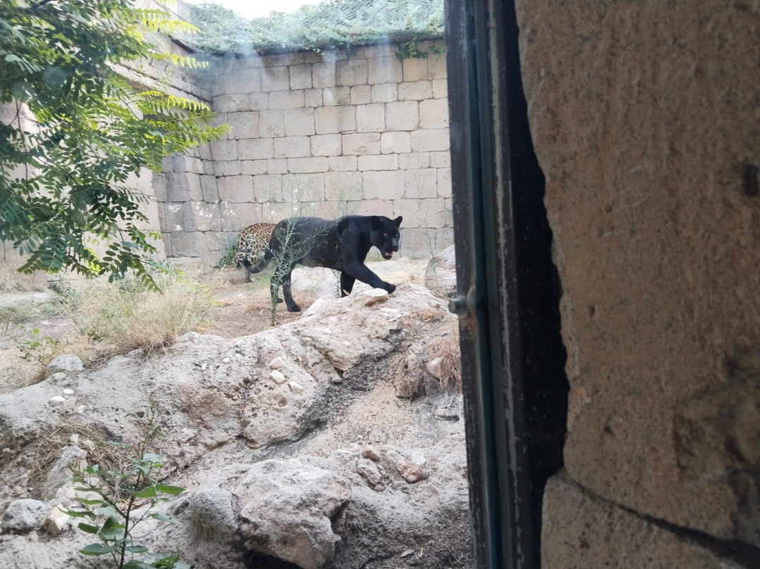 Terra Natura Benidorm-贝尼多姆必去景点