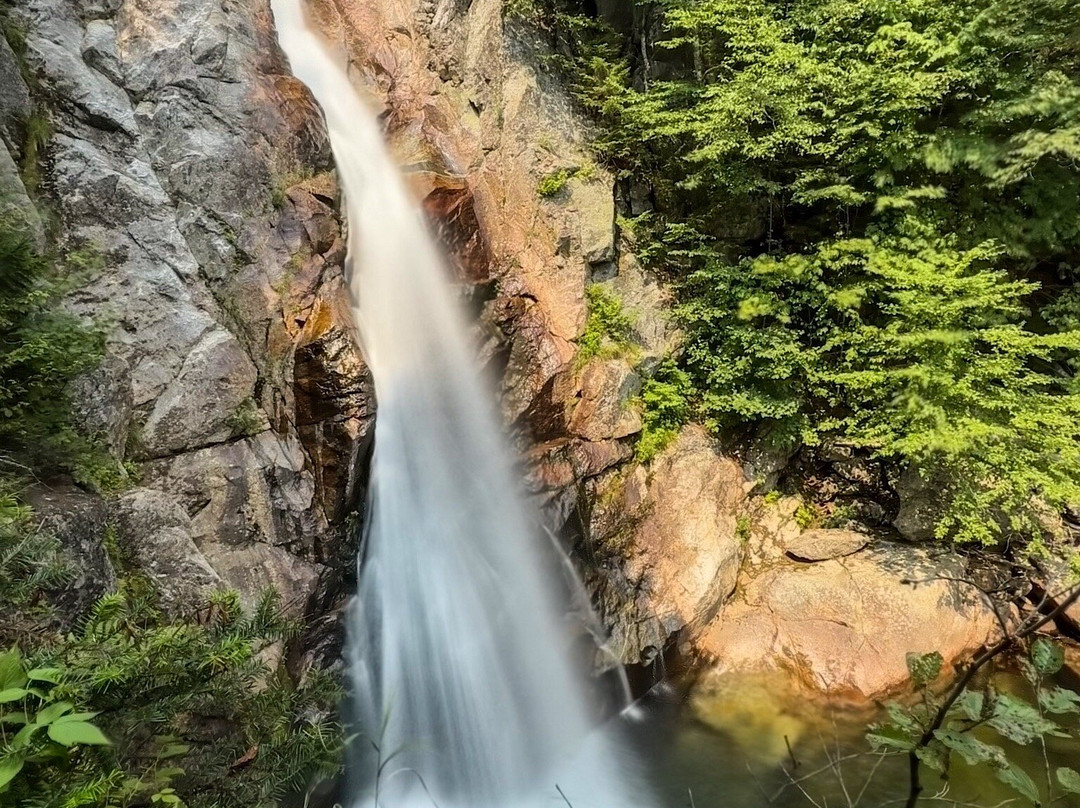 Profile Deluxe Motel主图