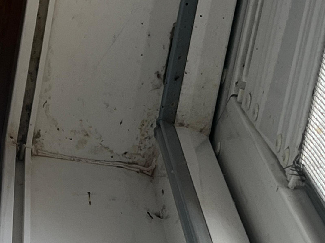 Hotel ChiemseePanorama主图