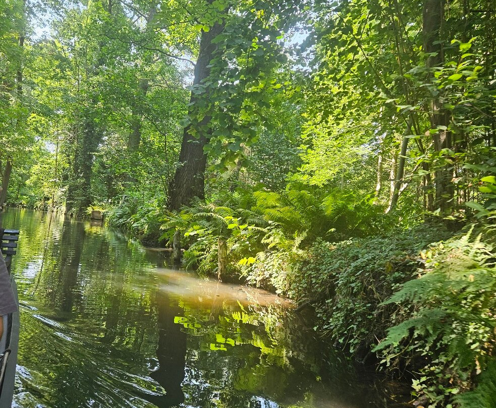 Spreewald Biosphere Reserve-Raddusch必去景点