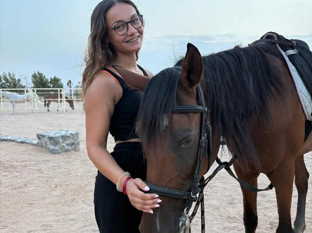 Habiba Horse-艾高娜必去景点