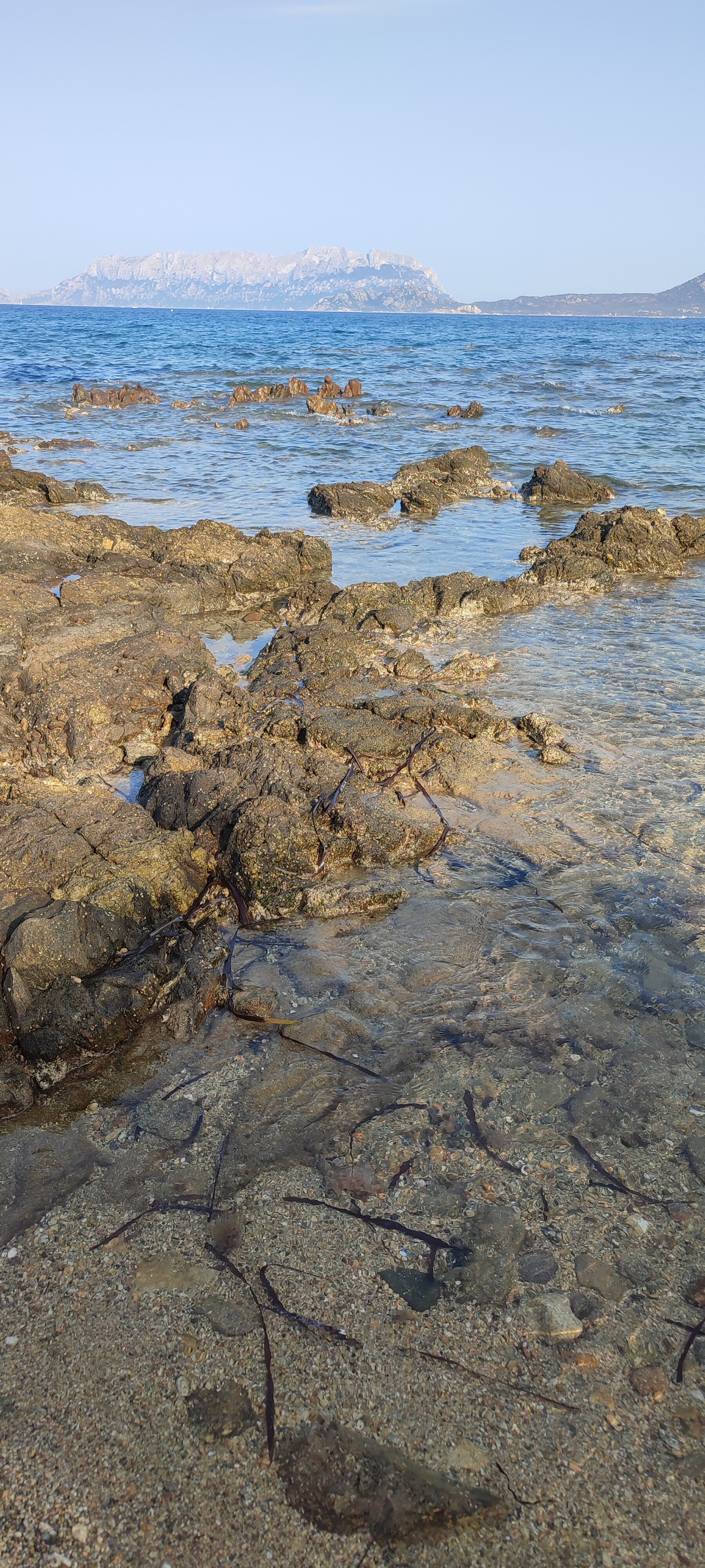 B&B Punta Sirenella-官方