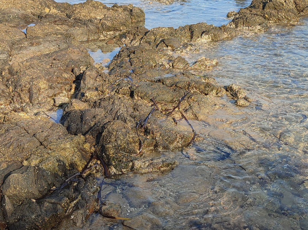 B&B Punta Sirenella主图