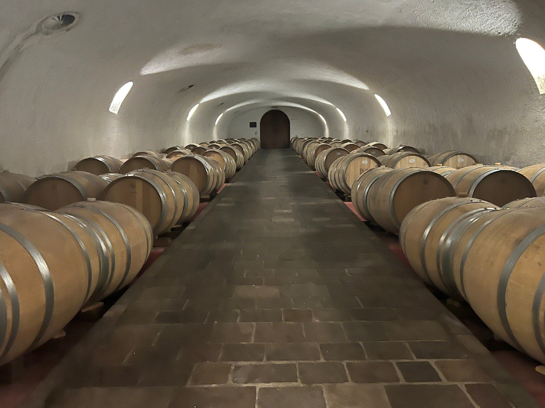 Cantina Avanzi-Manerba del Garda必去景点