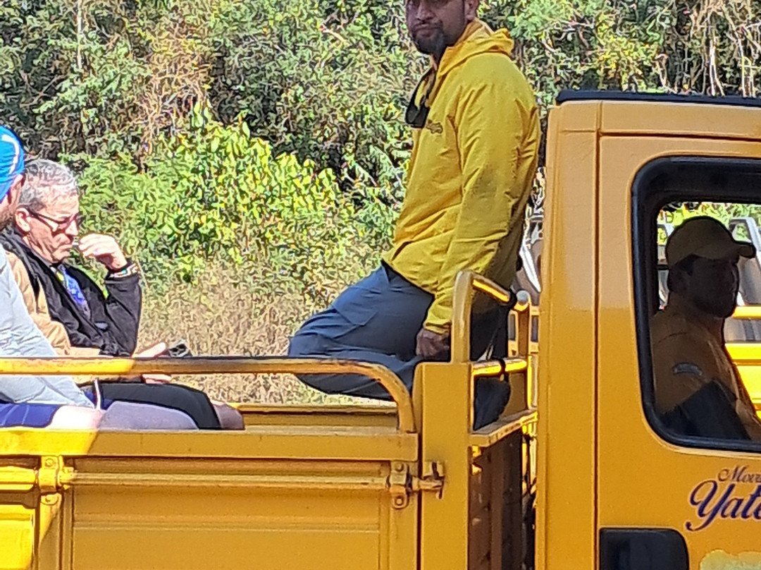 Iguazu Jungle-伊瓜苏港必去景点